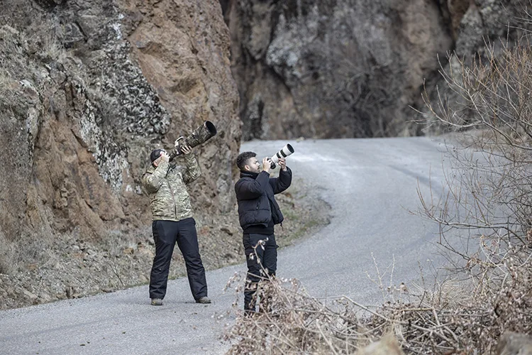 Fotoğrafçılar ve belgeselciler Tunceli kırsalında yaban keçilerinin izini sürüyor