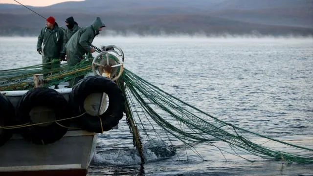 Küçük ölçekli balıkçı destekleri için başvurular başladı