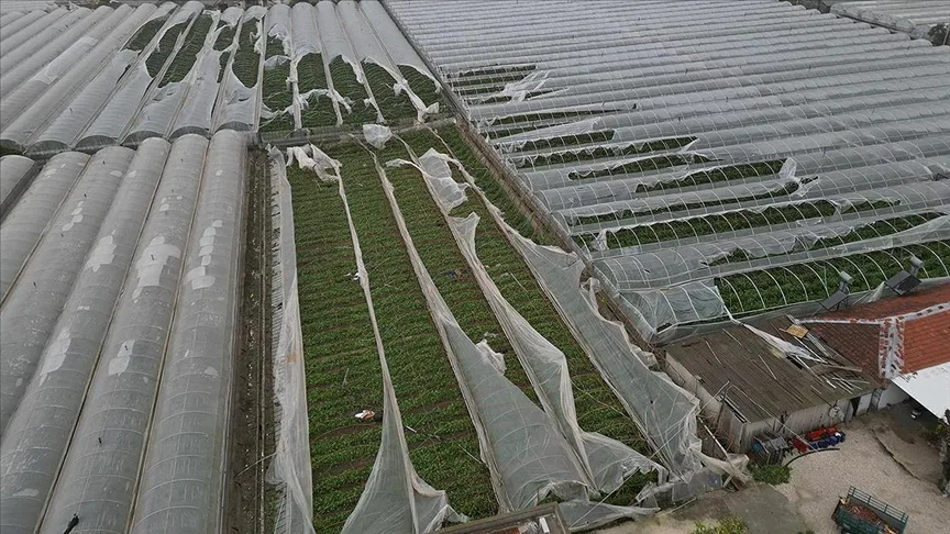 Bakan Yumaklı’dan Antalya’daki sel ve hortumdan etkilenen üreticilere ilişkin açıklama