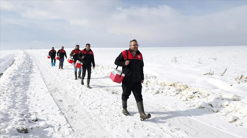 Muş’ta veteriner hekimler hayvanların sağlığı için karlı yolları aşıyor