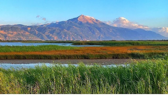 Milleyha Doğa Gözlem Merkezi, 13 Şubat’ta Üç Gün Sürecek “Doğa Buluşması” ile Kapılarını Açıyor.