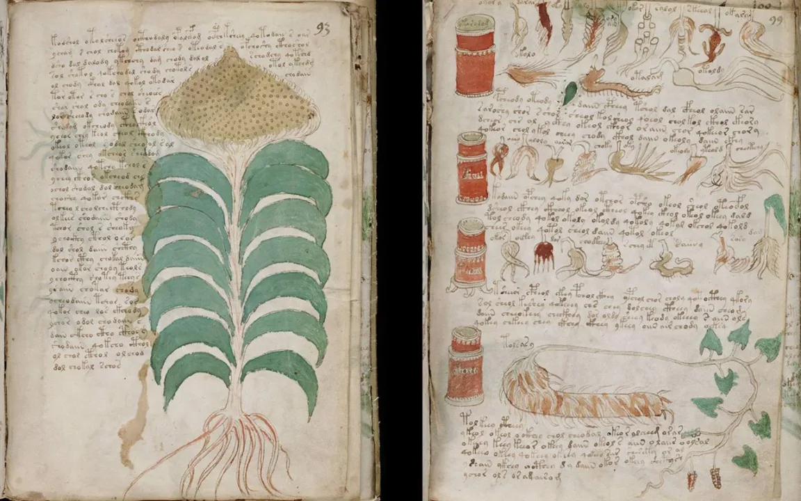 Yeni bir araştırma, gizemli Voynich El Yazması’nın bir ortaçağ şifresi olabileceğini gösteriyor.