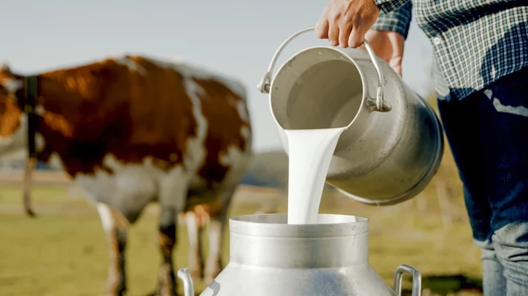 Süt hakkında bildiğiniz her şeyi unutun