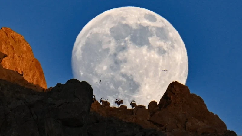 Anadolu Ajansı’nın ‘Yılın Kareleri’ oylaması başladı