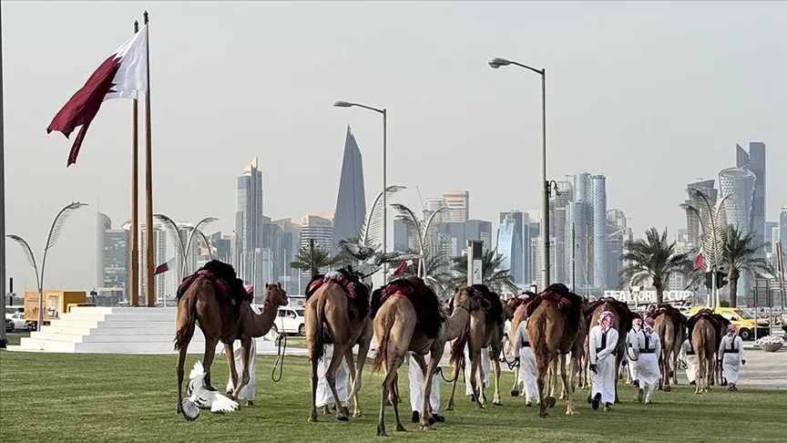 Katar’da, günlük “deve geçidi” geleneği devam ediyor