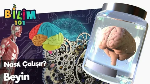 Beyin hatalardan neden ders almaz?