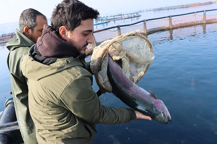 Fırat Nehri’nde ailecek ürettikleri balık ve havyarları ihraç ediyorlar