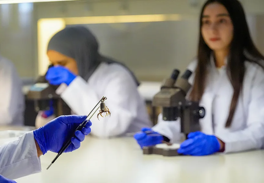 Dicle Üniversitesine hibe edilen akrepler akademik çalışmalarda kullanılacak
