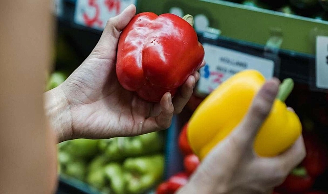 Gıda İhracatında Pestisit Krizi: Türkiye Avrupa’da İkinci Sırada