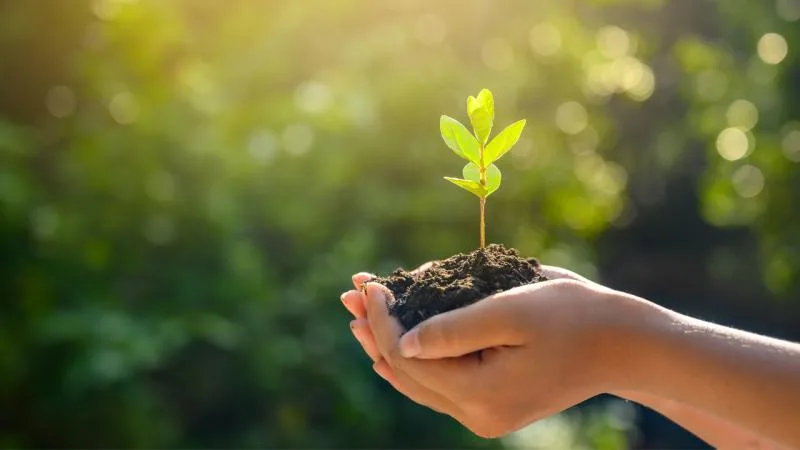 Erzurum’da ‘Uzlaştırma Ormanı’ oluşturulacak