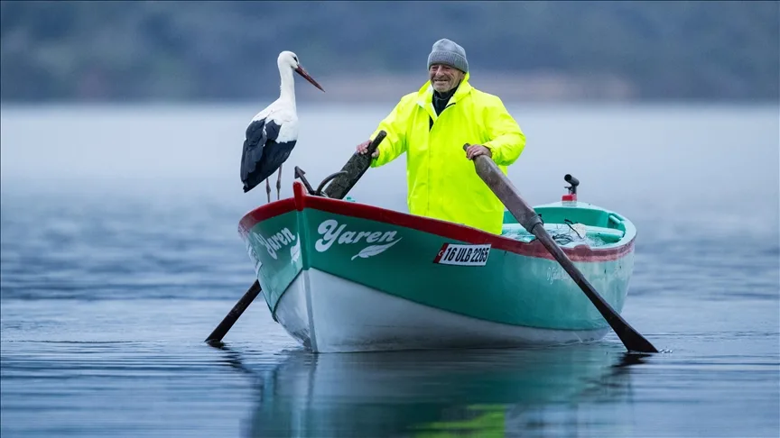 Yaren leylek göl manzaralı yuvasının bulunduğu Bursa’ya 15’inci yılında da geldi