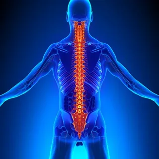 Vücutta en hızlı yaşlanan organ hangisi?