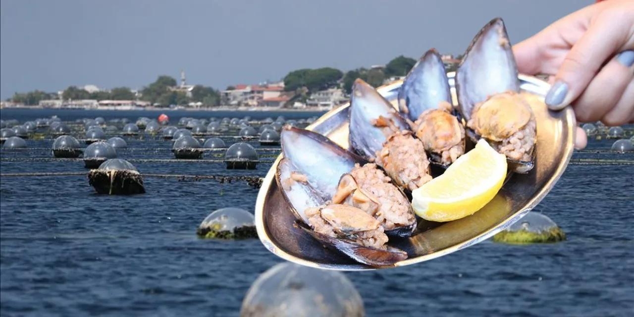 Midyelerde büyük tehlike! Halk sağlığını tehdit ediyor