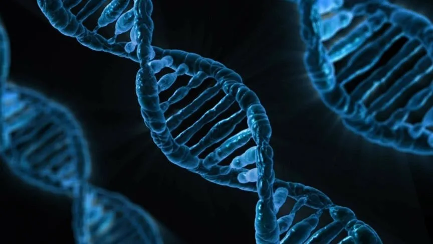 Yapay zeka modeli “AlphaGenome” yardımıyla DNA’nın bilinmeyenlerinin keşfedilmesi öngörülüyor