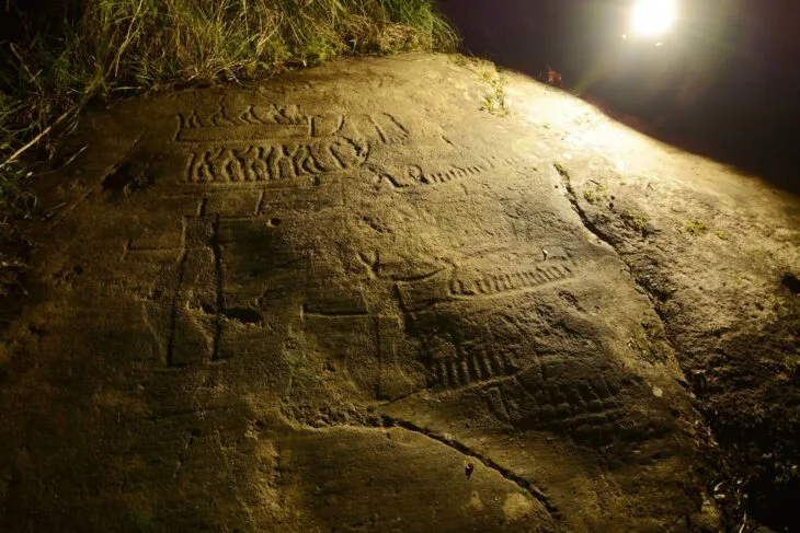 Yosunların Altındaki Sır: Norveç’te 3.000 Yıllık Kaya Oymaları Keşfedildi