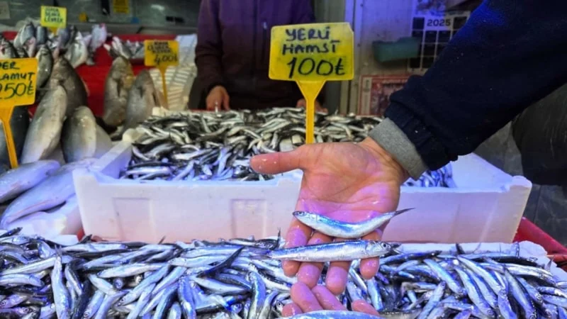 Ramazan ayında hamsi bereketi