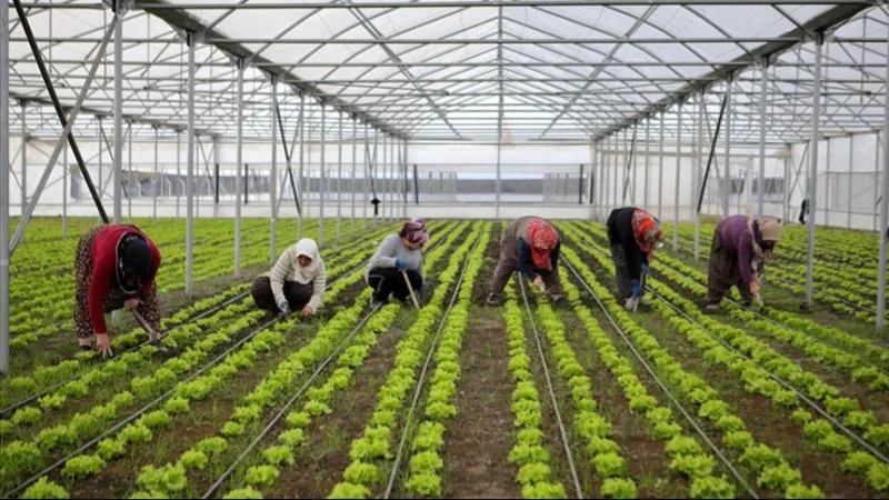 Bölgesel kalkınma için 15,6 milyar liralık yatırım yapılacak