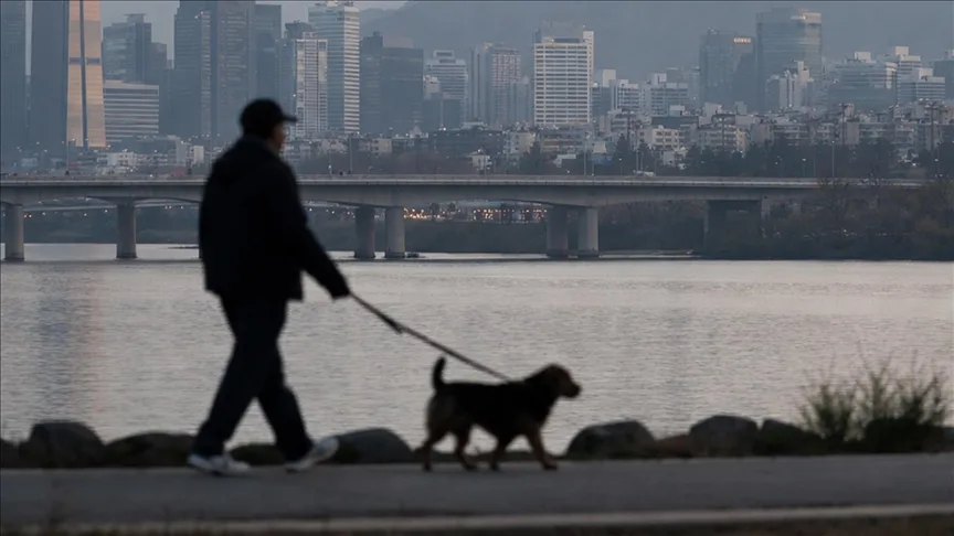 Ankete göre Güney Kore’de her 10 evden yaklaşık 3’ünde evcil hayvan besleniyor