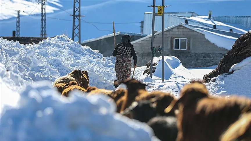 Erzurum’da besiciler kar ve dondurucu soğukla mücadele ediyor