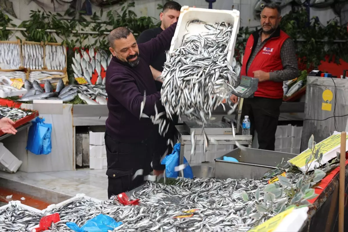 Hamsinin fiyatı 50 liraya düştü, tezgahlarda kuyruk oluştu