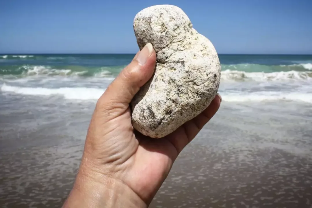 Sahillerde bulan köşeyi dönüyor.. Sıradan bir taş gibi gözüküyor,