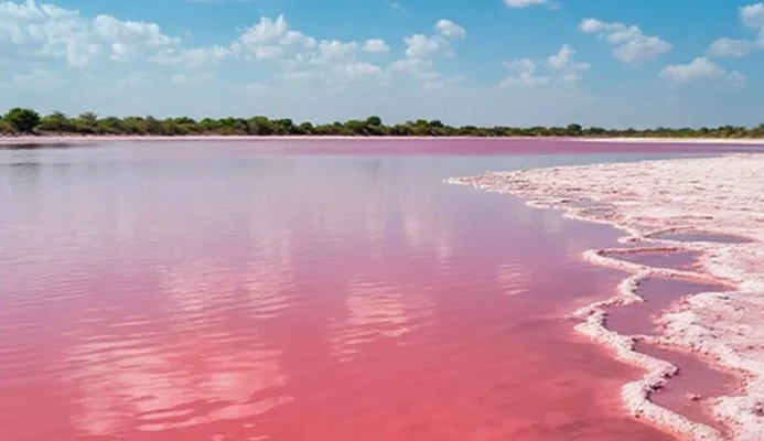 Senegal’deki Doğa Harikası Pembe Göl
