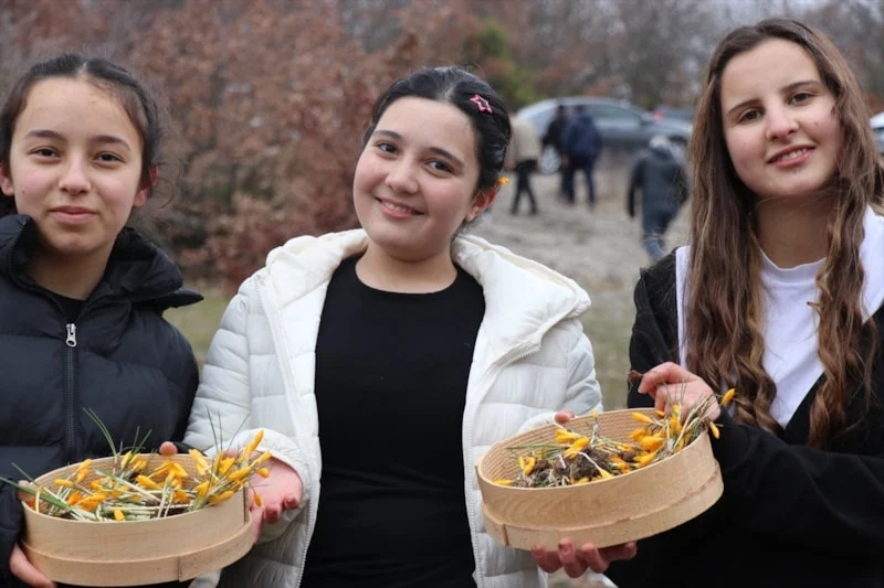 Boğazkale’de binlerce yıllık Hitit geleneği: Çiğdem Gezmesi