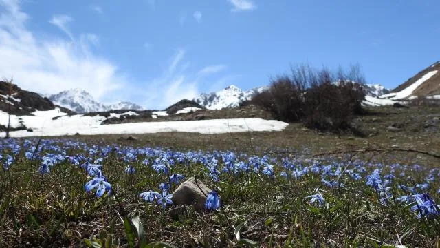 Türkiye’de, son 56 yılın en sıcak 3’üncü şubat ayı yaşandı