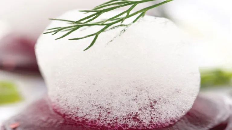 Yiyecekleri köpüğe dönüştürmek