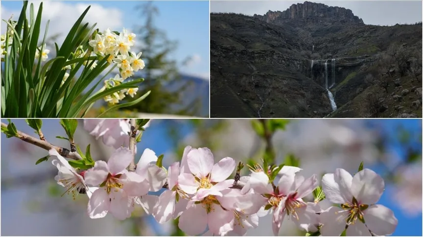 Hakkari’nin Derecik ilçesinde havanın ısınmasıyla doğa canlandı