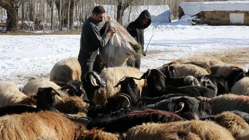 Yerel Kalkınma Hamlesi başvuruları başladı