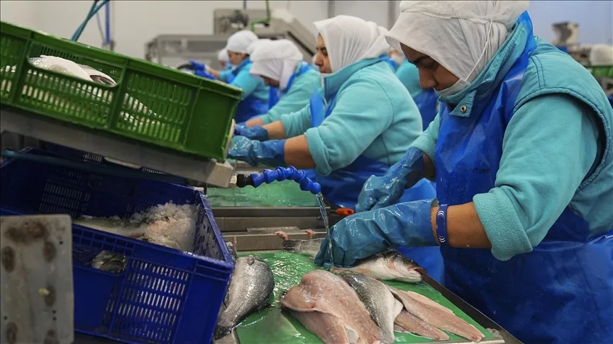 Su ürünlerinde iki aylık ihracattaki yüksek artış, yeni rekor beklentisini artırdı
