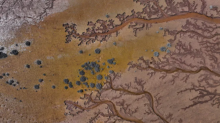 Tuzla Palas Gölü’nü besleyen suların oluşturduğu izler ağaç dallarını andırıyor