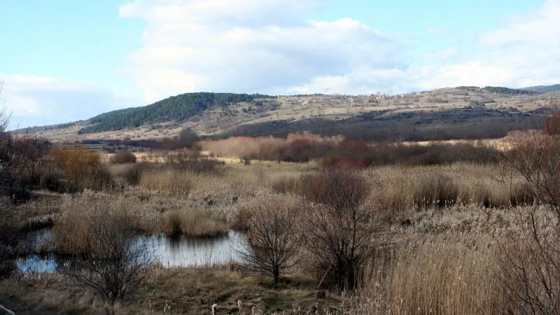 Tarımsal drenaj turbalıkları “karbon fabrikasına” çeviriyor