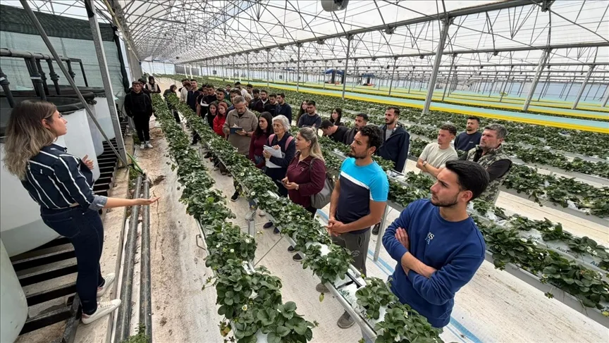Antalya’da üniversite öğrencileri çilek üretim tesisinde “topraksız tarım”la tanıştı