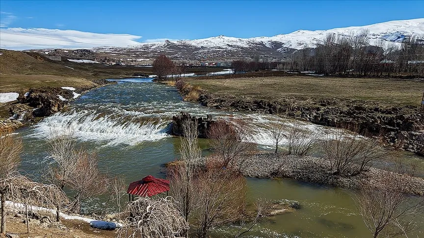 Artan yağışlar “Van Gölü’nün incileri”nin üreme dönemini sorunsuz geçirmesini sağlayacak