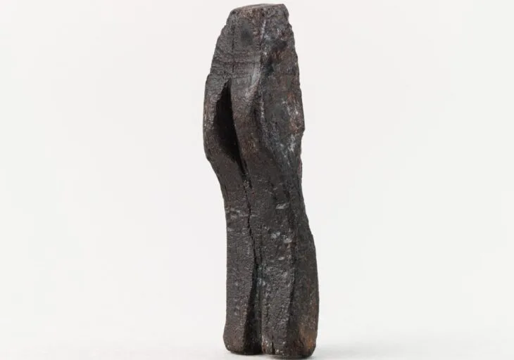 15.000 Yıllık Buzul Çağı Kadın Figürü Sonunda İsviçre’deki Yuvasına Döndü