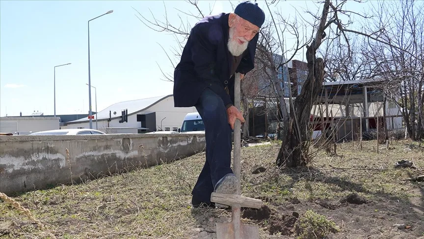 Sivas’ta yaşayan 99 yaşındaki “Kaya dede” enerjisiyle dikkati çekiyor