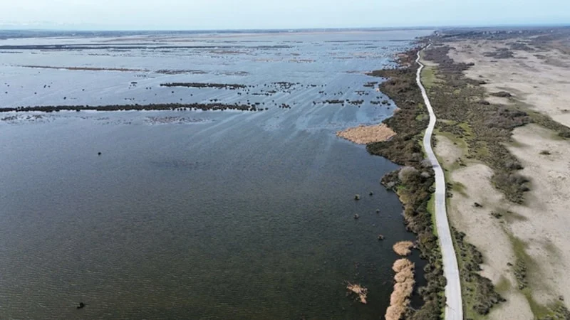 Kızılırmak Deltası yağışlarla yeniden canlandı