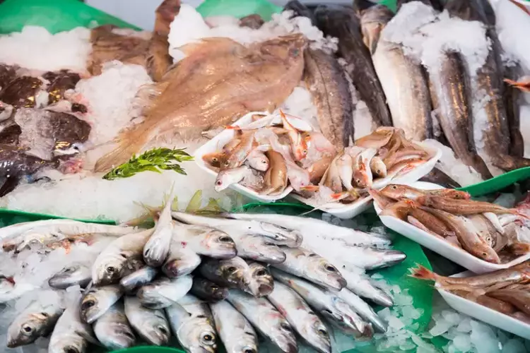  Severek tükettiğimiz o balık tam bir zehir deposu çıktı!