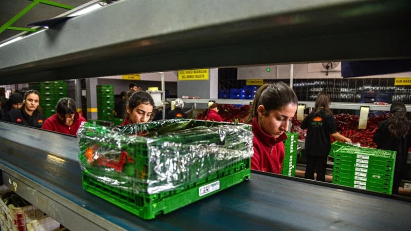 Rusya, İran savaşı sonrası sebze ihtiyacını Türkiye’den karşılamaya başladı