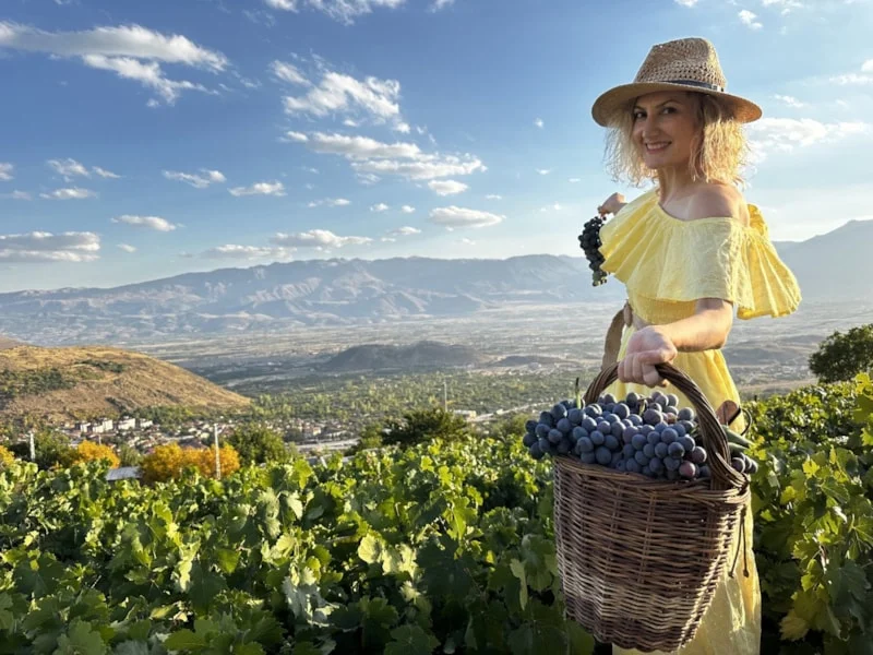 Erzincan tulum peyniri ve Cimin üzümüne uluslararası onur