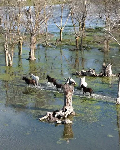 Kızılırmak Deltası’nda Görsel Şölen