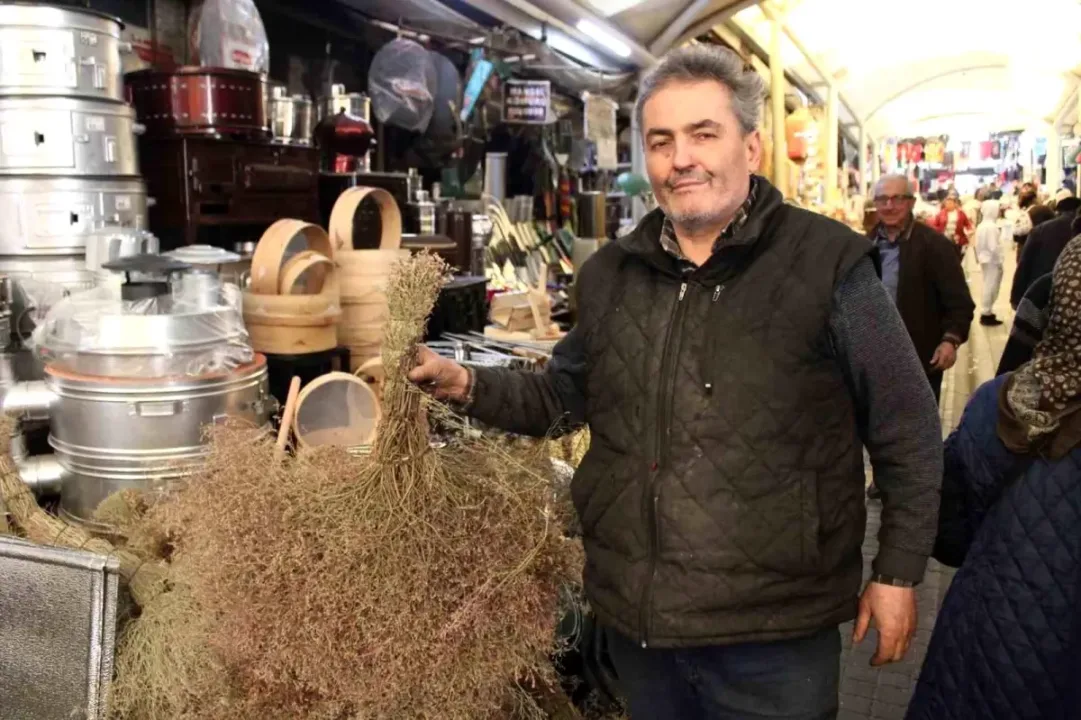 Çalı Süpürgelerine Teknolojik Direniş