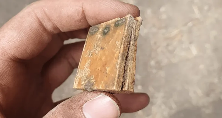 Almanya’da Çok Nadir Bir Ortaçağ Cep Güneş Saati Keşfedildi