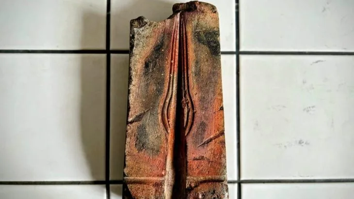 Güney Moravya’daki Bir Evin Bahçesinde 3.000 Yıllık Bronz Çağı Mızrak Ucu Kalıbı Keşfedildi