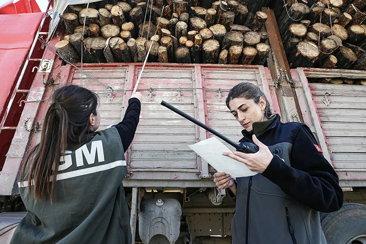 “Türkiye’nin akciğerleri” kadın ormancılara emanet
