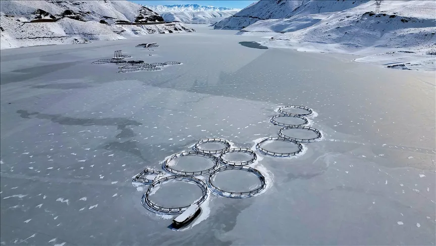 Van’da etkili olan yağışlar barajların doluluk oranını artırdı
