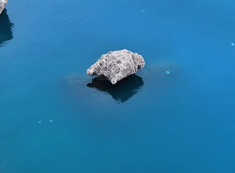 Antalya kıyılarında sürüler halinde ortaya çıktı! Vatandaşlara ‘uzak durun’ uyarısı