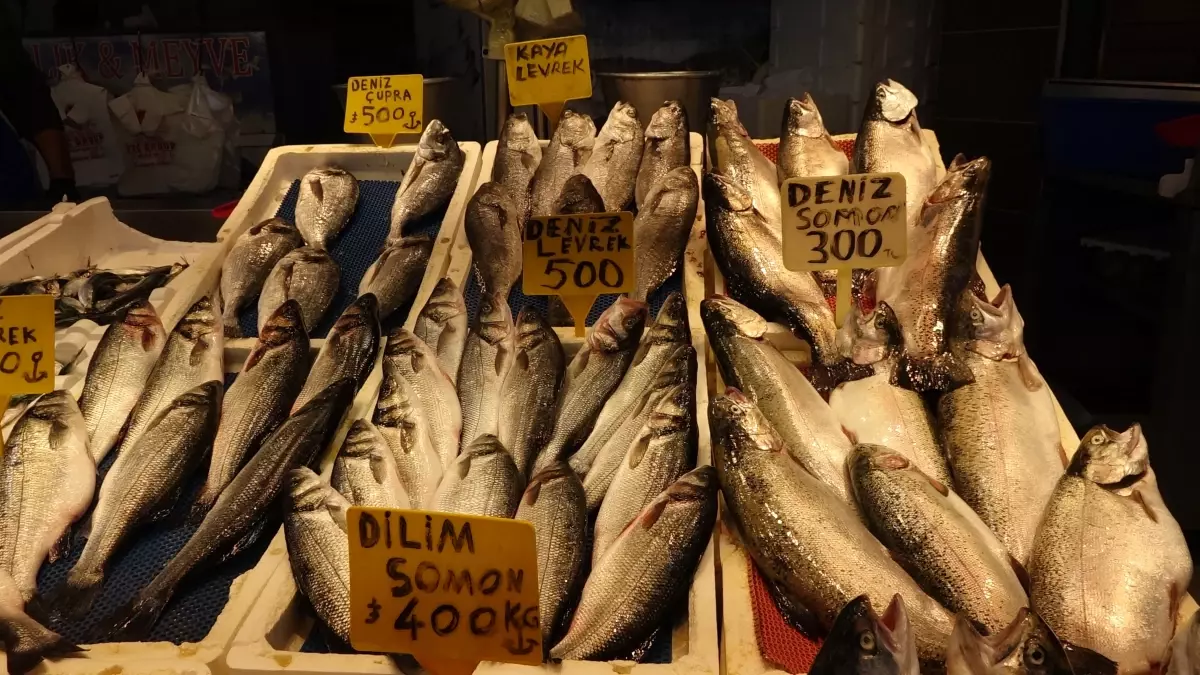 Hamsi Sezonu Sona Eriyor, hamsi yerini istavrite bırakıyor.